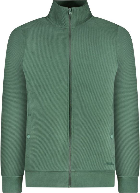 Cars Jeans - Vest Taylen - Heren - Sportief - Aangesloten Pasvorm