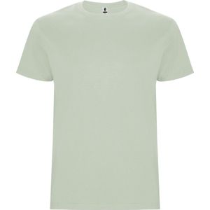 Roly Stafford T-Shirt RY6681 - Mist Green 264 - M