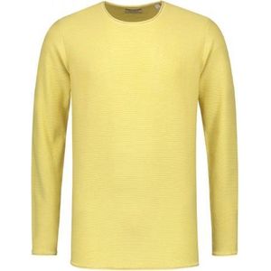 Trui Crew Acid Stripe Geel (404164 - 330)