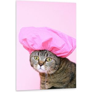 PVC Schuimplaat - Bruine Kat met Roze Badmuts tegen Roze Achtergrond - 80x120 cm Foto op PVC Schuimplaat (Met Ophangsysteem)