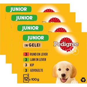 Pedigree Junior Hondenvoer - Maaltijdzakjes Multipack - Vlees in gelei - 48 x 100 gr