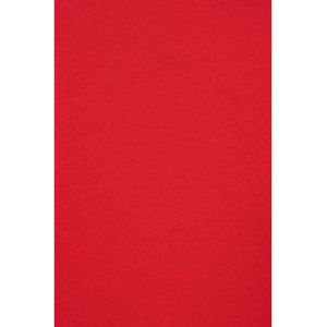 Banned - Tear Drop Top - S - Rood