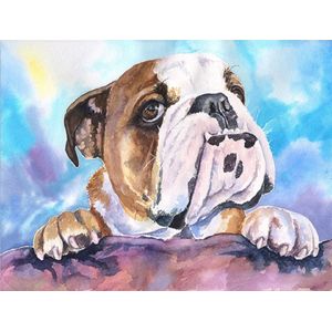 Diamond Painting Pakket - Bulldog - 50x40 cm - Complete Set - Volledige Bedekking - Ronde Steentjes