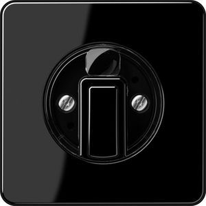 Jung CD500 Schakelelement/Centrale Plaat - CD1541SW - E34ZP
