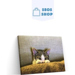 SEOS Shop ® Diamond Painting Volwassenen - Diamond Painting Kinderen - Diamond Painting Pakket Volledig - Kitten op de bank - 50x30 cm