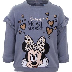 Disney Minnie Mouse sweater - Baby - Grijs/Goud - Maat 74 (12 maanden / 74 cm)