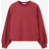 Sissy-Boy - Donkerrode sweater