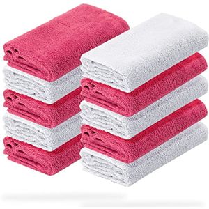 Set van 10 ultrazachte microvezeldoeken voor auto en interieur – 40 x 40 cm, 550 g/m²