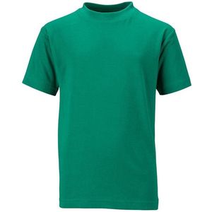 James and Nicholson Kinderen/Kinderen Basic Tee (Iers Groen)