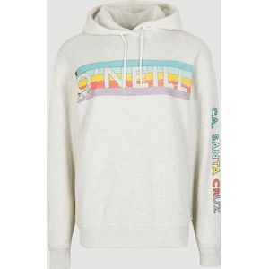 O'NEILL Truien CULT SHIFT HOODIE