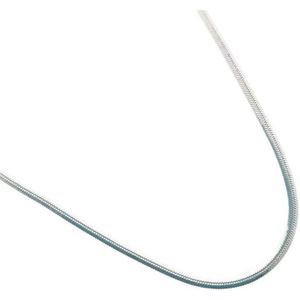 Elegante RVS platte Slangenketting