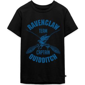Harry Potter Ravenclaw Quidditch Premium T-Shirt Tiener