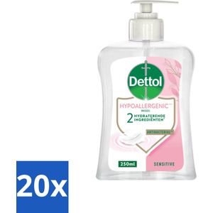 Dettol - Handzeep - Hypoallergenic - Gevoelige Huid - 250 ml - Bulkverpakking - 20 stuks