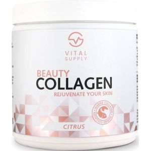 VITAL SUPPLY - Beauty Fish Collagen Type I & III - Citrus - 250 gram - vitamines B2, B3, B8 (biotine), C, E, zink - Huidverjonging- Duurzaam verkregen - Premium