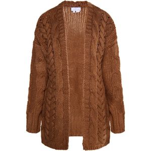 usha - WHITE LABEL - Gebreid Vest - Bruin