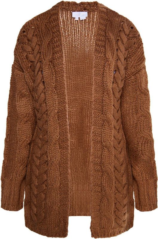 usha - WHITE LABEL - Gebreid Vest - Bruin