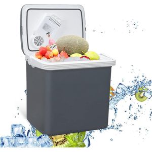 Draagbare Koelbox 24 Liter - Elektrische Mini-Koelkast voor Auto en Camping