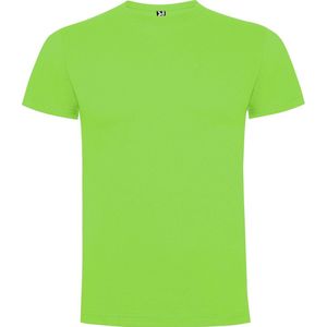 Roly Men´s Dogo Premium T-Shirt RY6502 - Oasis Green 114 - L
