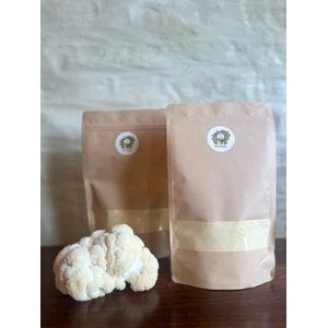 Lion’s Mane Poeder 100g – 100% Natuurlijk Biologisch Paddenstoelen poeder– Focus, Geheugen & Energie – Pruikzwam - Hericium erinaceus