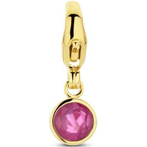 Slotbedel Met Geboortesteen 14K Geelgoud