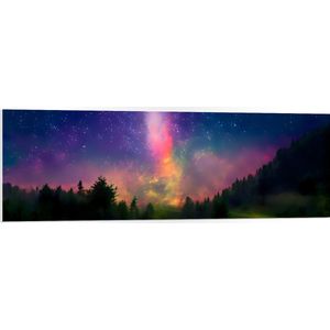 PVC Schuimplaat- Melkweg boven Bos in de Nacht - 120x40 cm Foto op PVC Schuimplaat