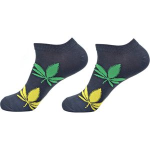 Robin Ruth - Enkel sokjes 2 pack - Wiet - Heren sok - Maat 41-46