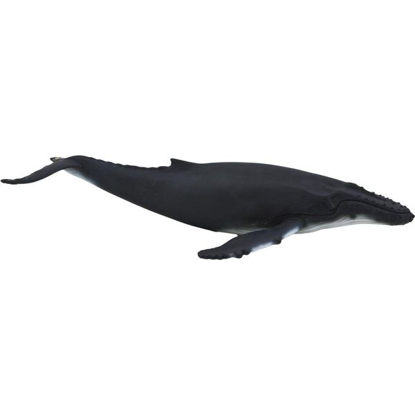 Bultrug-walvis - speelgoed online kopen | De laagste prijs! | beslist.nl