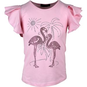S&C Shirtje Flamingo roze Kids & Kind Meisjes Blauw - Maat: 110/116