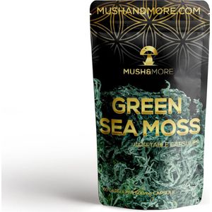 Groene Sea Moss | 60 Capsules | Green Seamoss | Bron van vitamines | Bron van mineralen | Mush and More | Natuurlijk Supplement