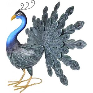 Pauw verentooi h48 cm