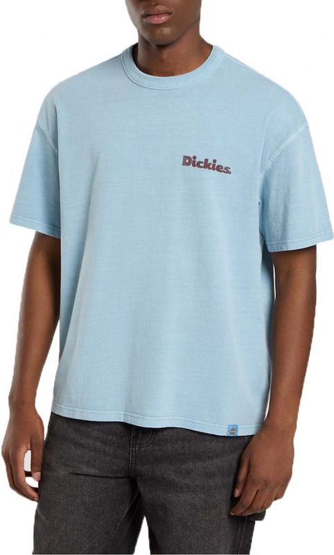 Dickies - Slayden T-Shirt - Blauw - T-shirt