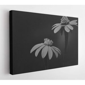 Black and white flowers  - Modern Art Canvas - Horizontal - 681377284 - 50*40 Horizontal