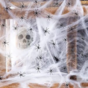 Solacis Halloween Decoratie - Spinnenweb - Halloween versiering - Decoratie buiten - Horror - Eng - Must have voor halloween!