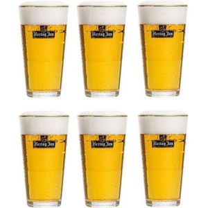Hertog Jan Bierglas Vaasje - 250 ml - 6 stuks