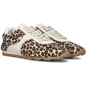 Toral - Vinci - Sneakers - Veelkleurig - Leer - Dames