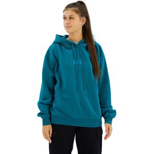 REPLAY Hoodie - Grijs - Katoen - Regular Fit