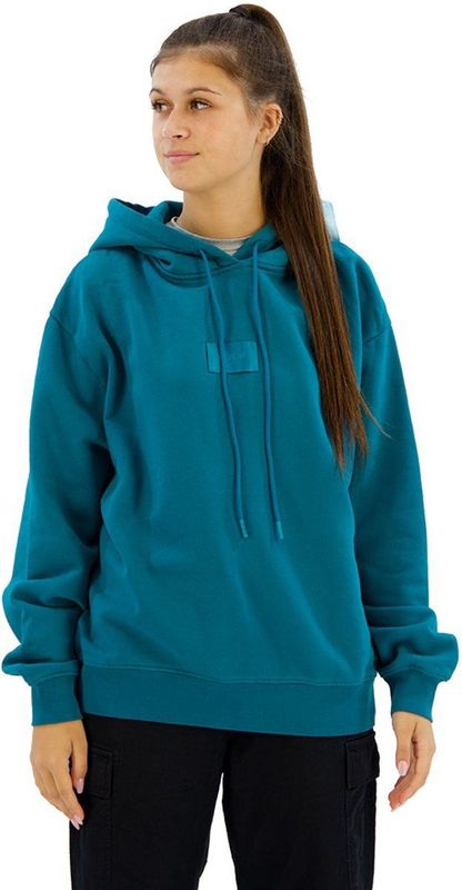 Replay - W3704F.000.23040P - Hoodie - Blauw