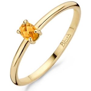 Blush 14 Karaat Geel Goud 14 Karaat Goud 54