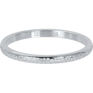 iXXXi Jewelry - Dancer - Vulring - Zilverkleurig - 2mm