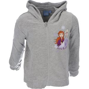 Disney Frozen Vest - Grijs - Katoen - Maat 122/128