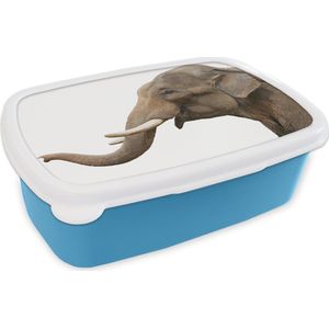 Broodtrommel Blauw - Lunchbox - Brooddoos - Olifant - Tanden - Wit - 18x12x6 cm - Kinderen - Jongen