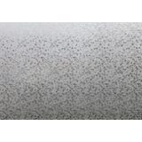 Raamfolie - Transparant - Zelfklevend - Voor Privacy