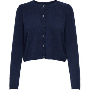 JDY - Jdychloe - Vest - Gebreid - Lange Mouwen - O-hals