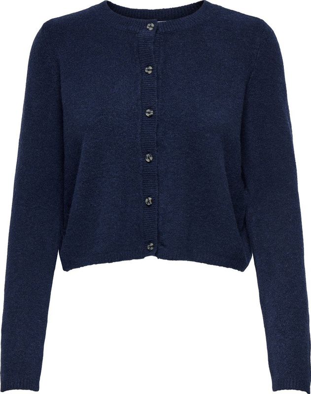 JDY - Jdychloe - Vest - Gebreid - Lange Mouwen - O-hals