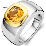 Ring Citrien Goud Met Zilver