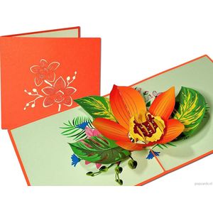 Popcards popupkaarten – Bloemen Oranje Orchidee Moederdag Koningsdag Vriendschap Verjaardag Felicitatie pop-up kaart 3D wenskaart