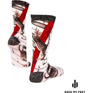 Sock my crazy piano  - maat 36-38