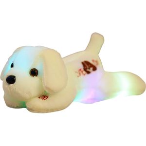Le Cava Lichtgevende Knuffel Teddybeer Wit 35 cm - Schattige Witte Pluche Hond - Speelgoed en Decoratie voor Kinderen - Cadeau Knuffel 35 cm