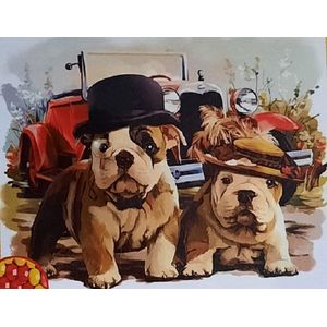Denza - Diamond painting Amerikaanse Bulldog hond 40 x 50 cm volledige bedrukking ronde steentjes direct leverbaar - bull dog - honden - klassieker - oldtimer - hond - dogs