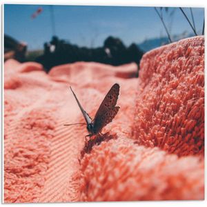 Forex - Bruine Vlinder in Roze Natuur - 50x50cm Foto op Forex